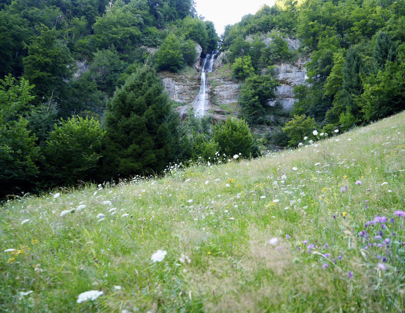 Detox im Landvogthaus